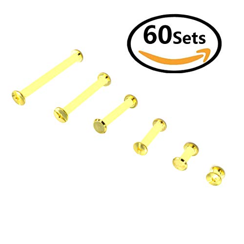 SpzcdZa 120pcs Golden Phillips Chicago Screw Binding Screws Posts Assortment Kit for Scrapbook Photo Albums Craft and DIY Leather Decoration Bookbinding(M5 x 10/20/30/40/50/60)