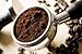 Jungle Coffee Costa Rican Organic Dark Roast Ground Coffee, 1 lb
