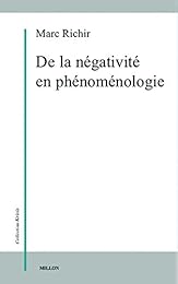 De la négativité en phénoménologie