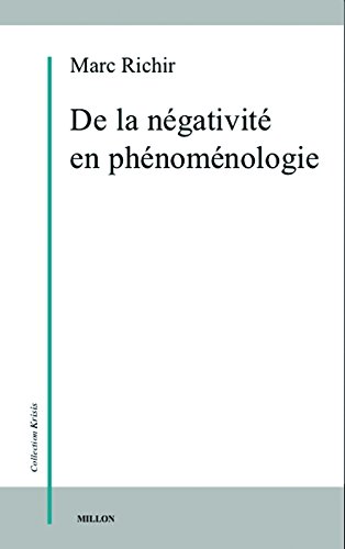 De la négativité en phénoménologie
