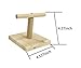 MINORPET Wood Perch Training Stand Bird Cage Accessories for Parrots Parakeets Lovebirds Cockatiels Exercise Play Toys (Square Base)thumb 2