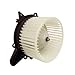 TYC 700027 Ford F Series Pickup Replacement Blower Assembly