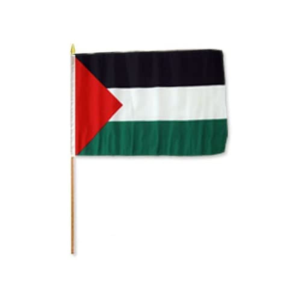 AZ FLAG - Set of 10 Palestine Hand Flag 12'' x 18'' with Wood Stick - 10 Small Palestinian Flags 100% Polyester 45 x 30 cm with 23'' Wooden Flagpole