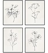 Haus and Hues Botanical Plant Wall Art Prints - Set of 4 Plant Wall Decor Prints, Floral Kitchen ...