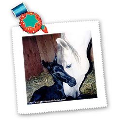 3dRose andalusian Mare and Foal Square Quilt Sheet, 10 by 10-Inch