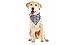 American Flag Pet Bandana - 4th of July Sale Handmade Large Dog or Cat Handcrafted Flag Design Bandana for Pets,