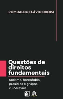 Livro Questões de Direitos Fundamentais no Brasil: racismo, homofobia, presídios, crimes virtuais e grupos vulneráveis