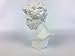 Torino Mini David Head Plaster Cast Mannequin, Great for Artists, Artistic piece, Color: White, Size: 5