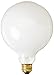 Bulbrite Incandescent G40 Medium Screw Base (E26) Light Bulb, 40 Watt, White