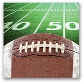 Game Day! Football Tailgate Party Napkins Bundle (48)