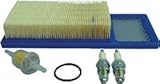 E-Z-GO TUNE UP KIT | 4 CYCLE 295cc  / 350cc 1994-2005