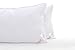 Queen Size Pillows 2 Pack - Fluffy and Comfortable - White 20 x 30 Inch - Comfy Fluff and Plush - Two Pillow Set - Standard - Softer Than Feather Goose Down - Luxury Hotel Quality