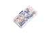 Ginsco 48pcs Fairy Garden Dollhouse Miniature Ornament DIY Kit with Storage Case