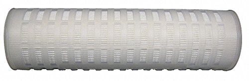 Pleated Filter Cartridge, 0.2 Microns, Polypropylene Filter 