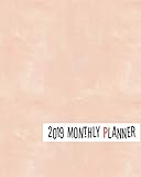 2019 Monthly Planner: Yearly Monthly Weekly 12 months 365 days Planner, Calendar Schedule, Appointme by Gladys C. Spencer