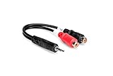 Hosa YRA-154 3.5 mm TRS to Dual RCAF Stereo Breakout Cable