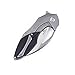 KIZER Cutlery Folding Pocket Knives Flipper Knife Stonewashed Wharncliffe Blade and Titanium Handles Tactical EDC Knife, Elijah Isham Megatherium Ki4502A1