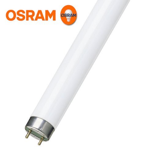 Osram L18860 - 18W 600mm / 2ft Daylight Triphosphor T8 Fluorescent Tube G13 Cap