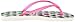 Havaianas Slim Trend Flip Flop (Toddler/Little Kid)