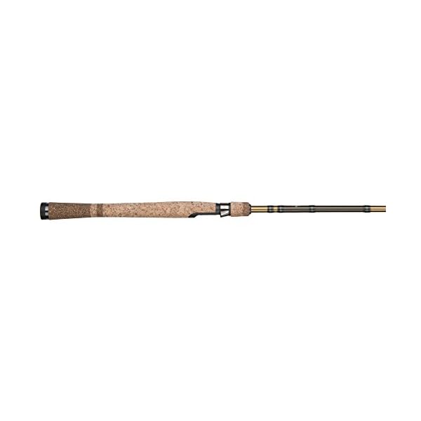 Fenwick-Eagle-Spinning-Rods