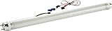 Gold Stars T8188301 Natural White 18