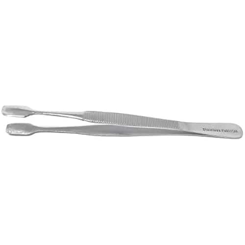 insect forceps