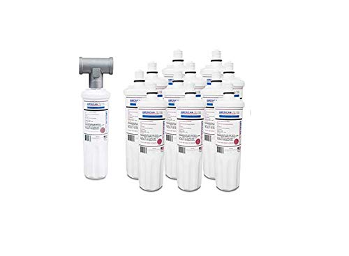 American Filter Company 12-Pack Aquapure AP430 AP430SS Compa