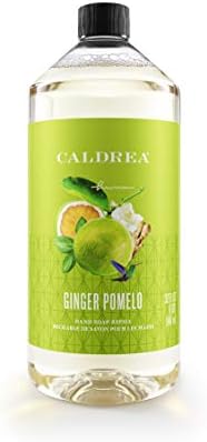 aloe vera soap refill