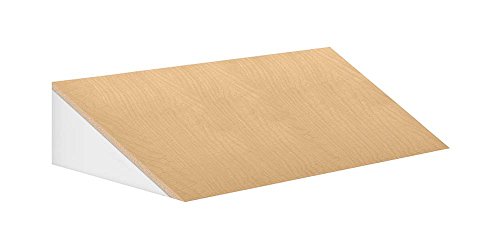 Salsbury Industries 22257MAP 45-Inch Wide Sloping Hood for 24-Inch Deep Extra W…