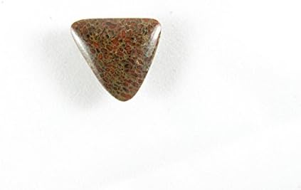 Dinosaur Bone with Red Agate Cabochon