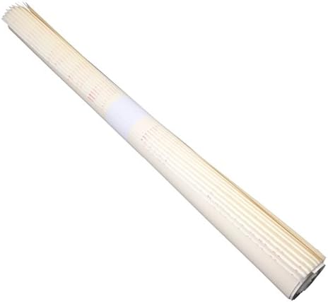 INKSTON Shimmer Plus Xuan Paper (10 sheets) Mica Sized