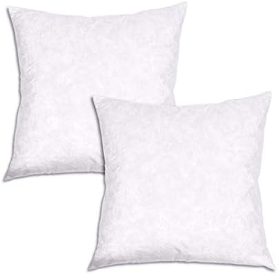 Kaf Home Set Of 2 100 Feather Throw Pillow Insert 22 X 22