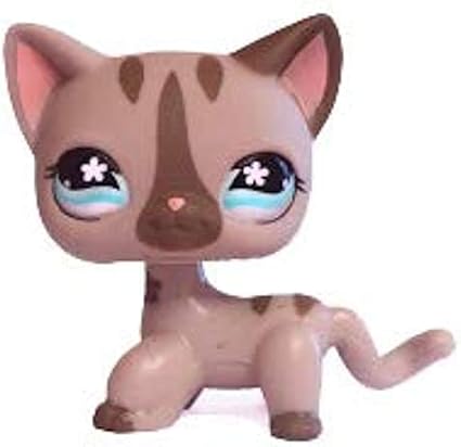 grey toy poodle for sale