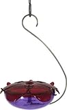 Droll Yankees Hummingbird Feeder, Outdoor Feeder with Hanger, 5 Oz, 3 Perches, RS-3HL, Red/Lavender