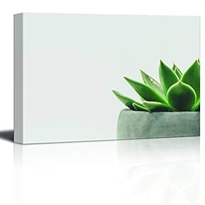 Small Succulent In Corner With Lush Leaves - Canvas Art