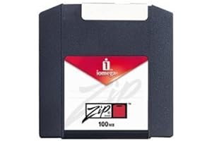 Zip 100MB PC Formatted Disk Sg