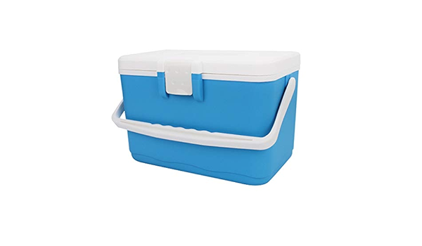 perfeclan Camping Cooler Box Nevera Portatil Pequeña 8L ...
