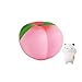 Jumbo Peach Slow Rising Squishy Bundle with Random Mochi Squishy