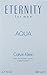 Calvin Klein Eternity Aqua For Him Eau de Toilette 6.7 fl oz