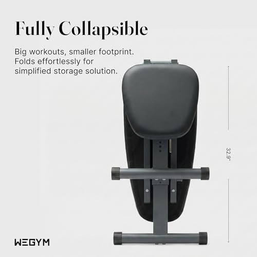 WeGym Fitness Bench, Adjustable, Collapsible, Comfortable, and Luxurious Home Gym Bench for Strength Training