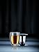 Bodum 12-Ounce Tea for One, Double Wall Glass with Strainer, Black