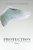 Protection: Safety and Dominion in Perilous Times by Dr Brian Miltenberger