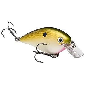 Strike King Hckvds8.0-469 Kvd 8.0 Magnum Squarebill, Tn Shad 2.0.