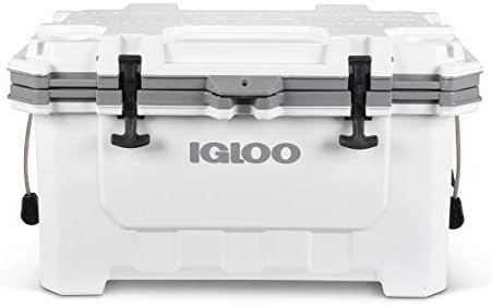 ice chest with cushion