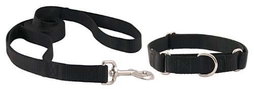 Country Brook Design Martingale Nylon Dog Collar & Double Handle Leash-Black-M