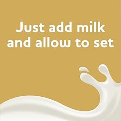 Sugar Free Instant Pudding & Pie Filling Mix with