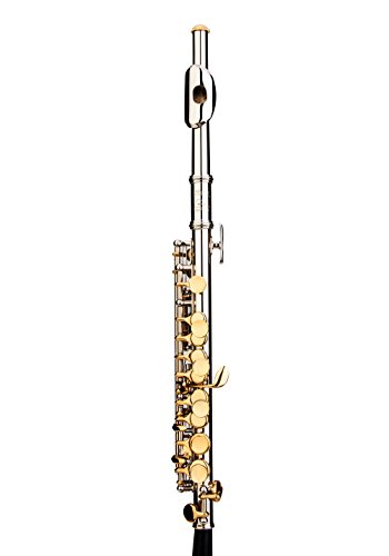 Glory Key of C Piccolo with Case, Joint Grease, Cleaning Cloth and Rod, and Gloves, Silver/Gold keys ~ More COLORS Available ! CLICK on LISTING to SEE All Colors