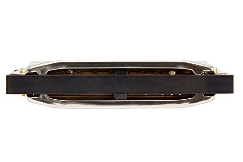 image for Hohner Special 20 Harmonica, 10 Holes Key D Bundle with Hard Case, Min
