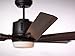 Emerson Ceiling Fans CF985ORB Damp Rated Aira Eco Modern Ceiling Fan with Light and Wall Control, Oil Rubbed Bronze Finish