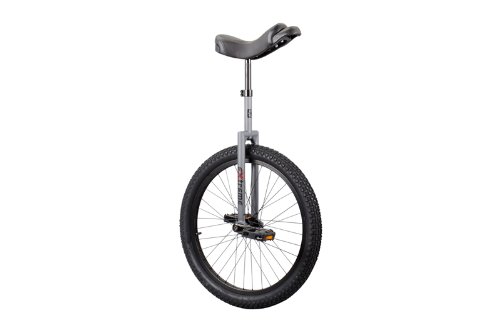 SUN BICYCLES Flat Top Extreme DX Matte Gray 2014 20 Inch